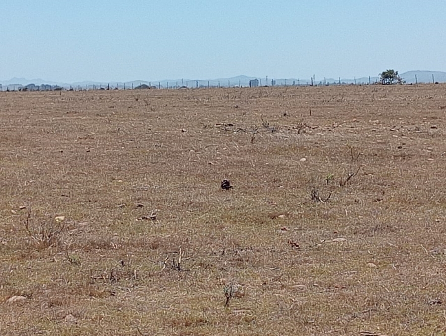 Commercial Property for Sale in Humansdorp Rural Eastern Cape